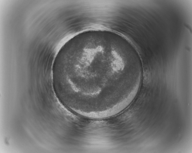 X0000103951335200810031337