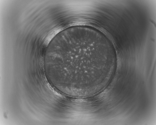 X0000103951337200810031337