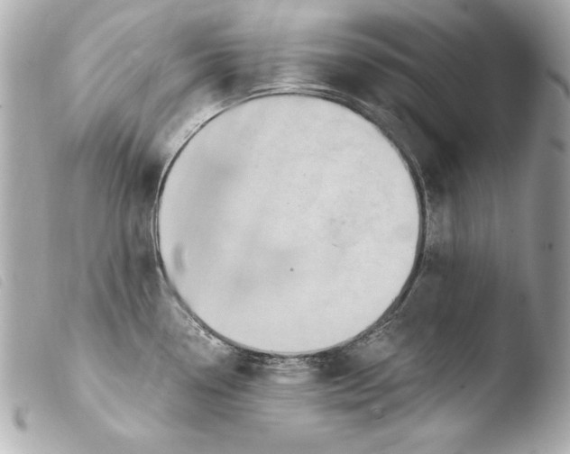 X0000103951338200810031337