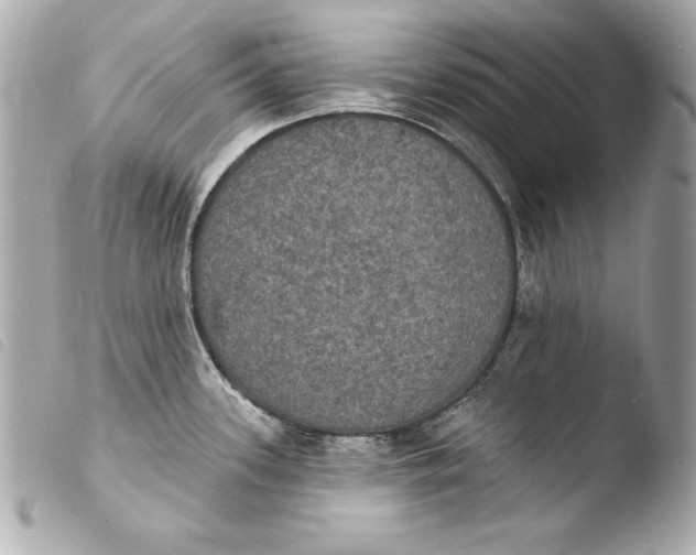 X0000103951339200810031337