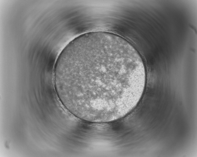 X0000103951340200810031337