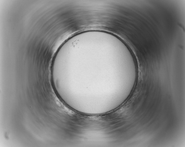 X0000103951341200810031337