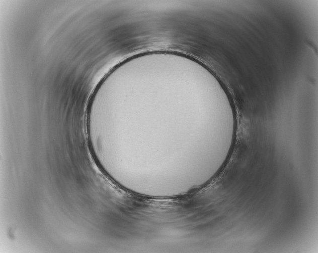 X0000103951342200810031337