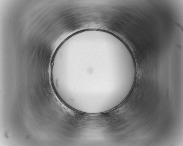 X0000103951343200810031337