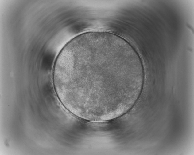 X0000103951344200810031337