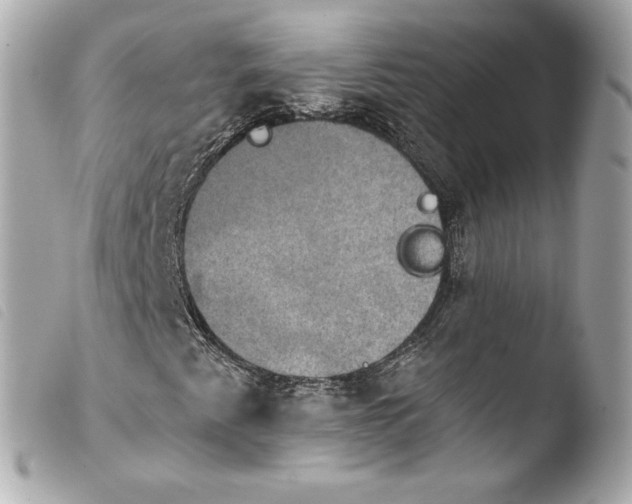 X0000103951345200810031336