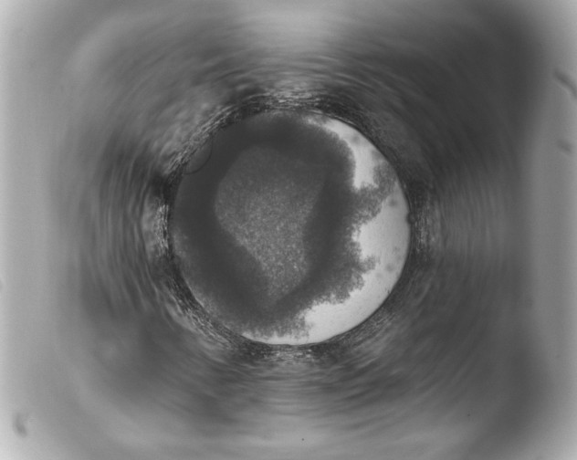 X0000103951346200810031336