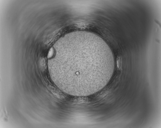 X0000103951347200810031336