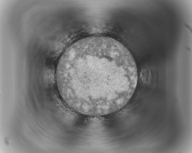 X0000103951348200810031336