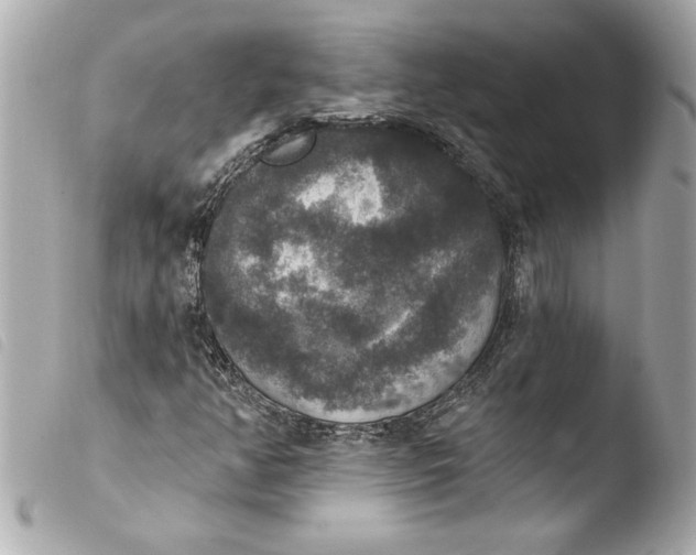 X0000103951350200810031336