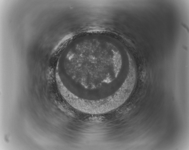 X0000103951351200810031336