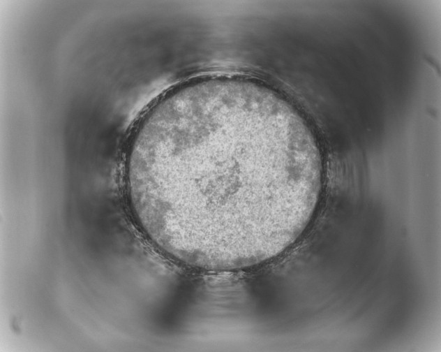 X0000103951352200810031336