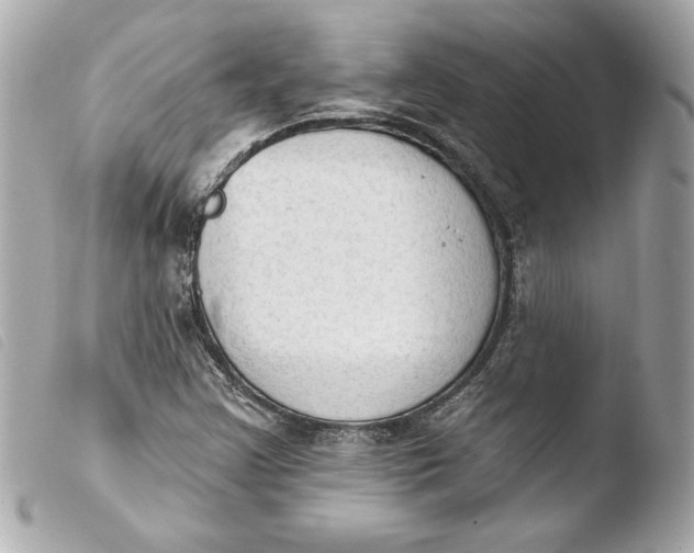 X0000103951355200810031336