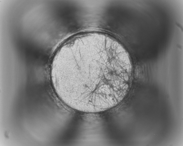 X0000103951356200810031336