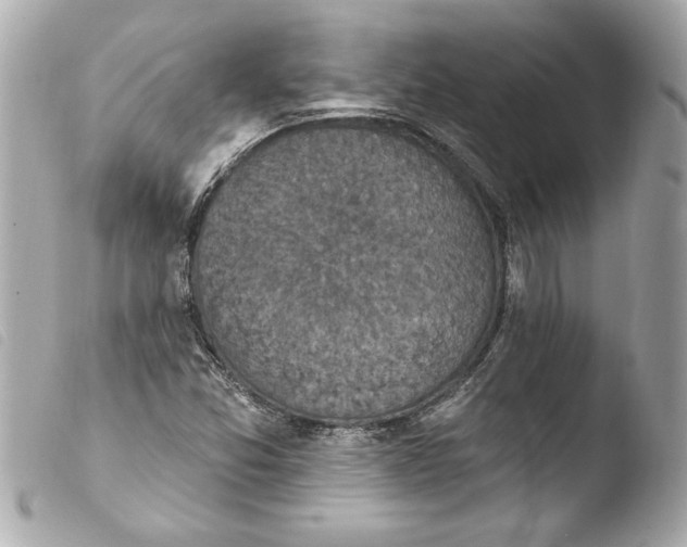 X0000103951357200810031336