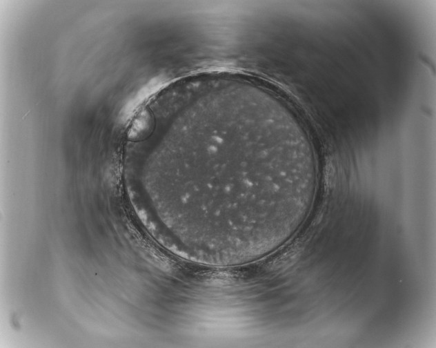 X0000103951359200810031336