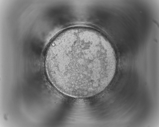 X0000103951360200810031336