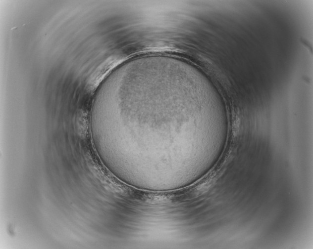 X0000103951361200810031336