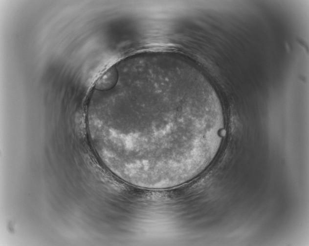 X0000103951362200810031336