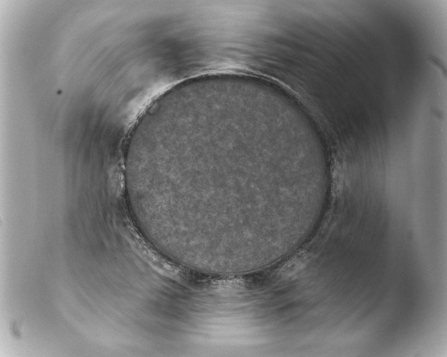 X0000103951363200810031336