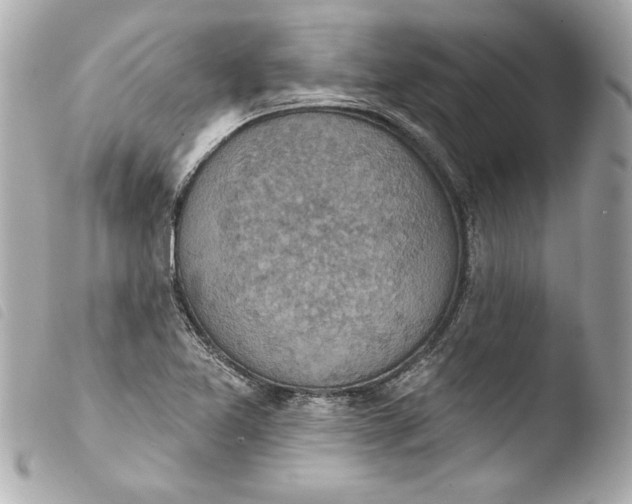 X0000103951365200810031335