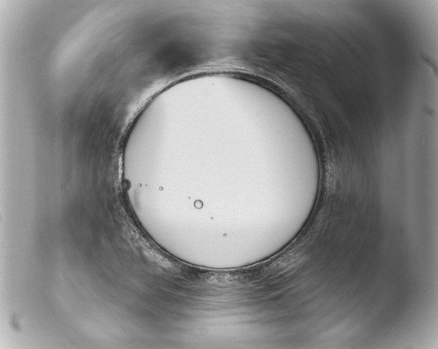 X0000103951366200810031335