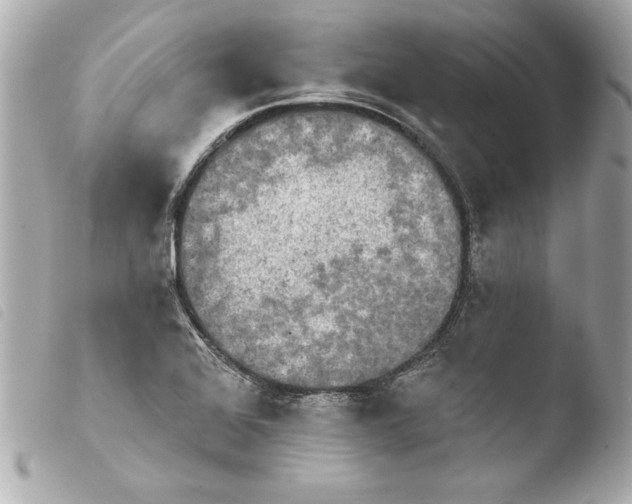 X0000103951368200810031335