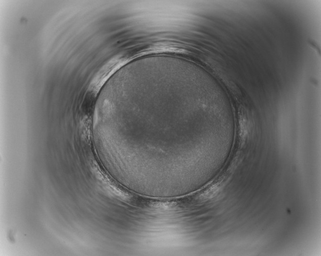 X0000103951369200810031335