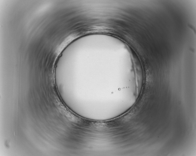 X0000103951370200810031335