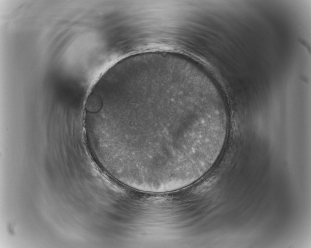 X0000103951373200810031335