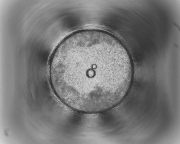 X0000103951376200810031335