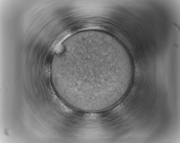 X0000103951377200810031335