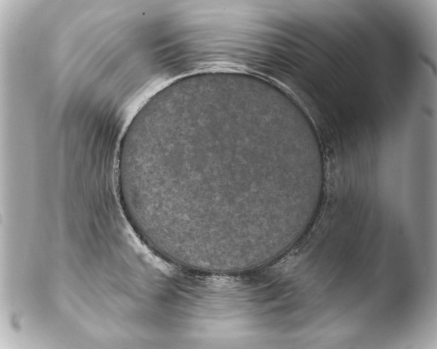 X0000103951379200810031335