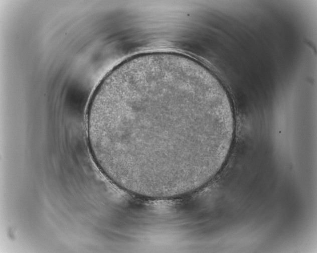 X0000103951380200810031335