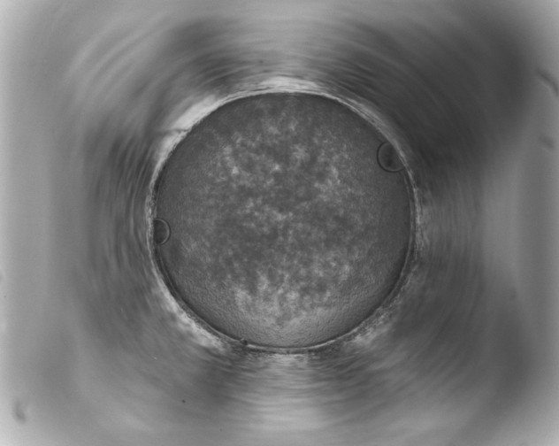 X0000103951381200810031335