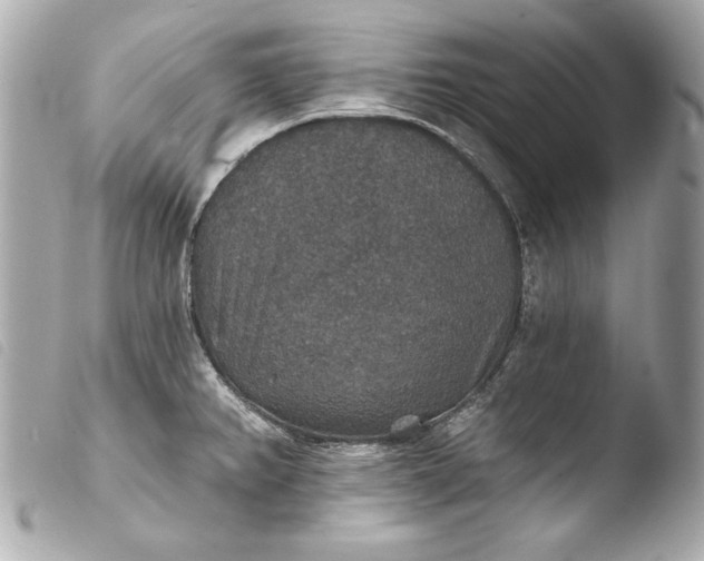 X0000103951382200810031335