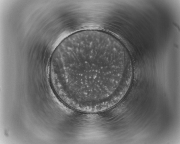 X0000103951383200810031335