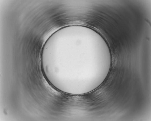 X0000103951387200810031335