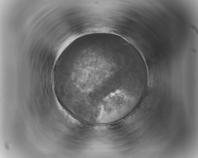 X0000103951389200810031335