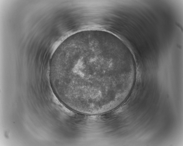 X0000103951390200810031335