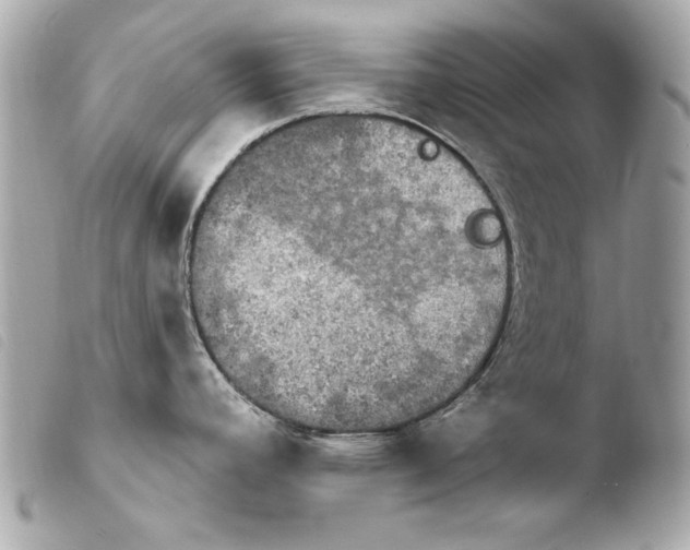 X0000103951392200810031335