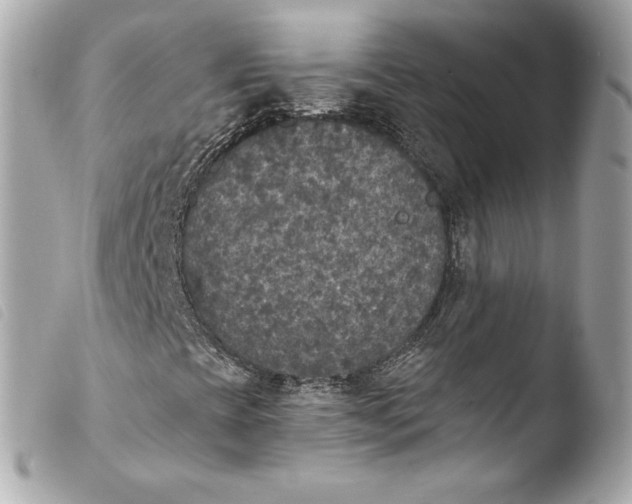 X0000103951393200810031334