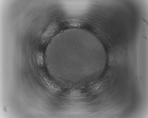 X0000103951394200810031334