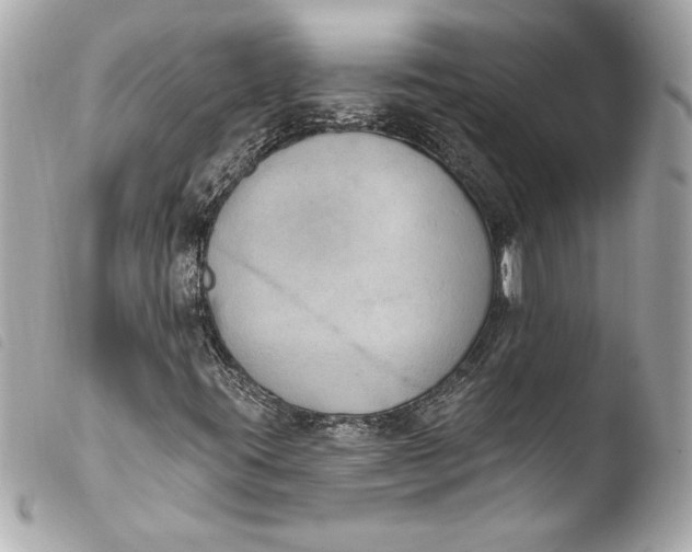 X0000103951395200810031334