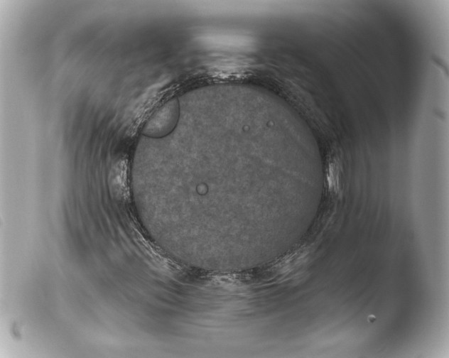 X0000103951396200810031335