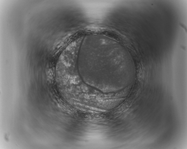 X0000103951397200810031335