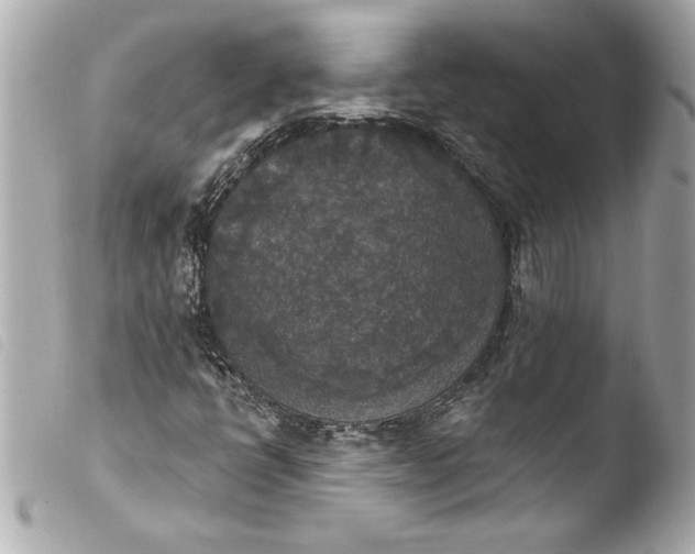 X0000103951398200810031335