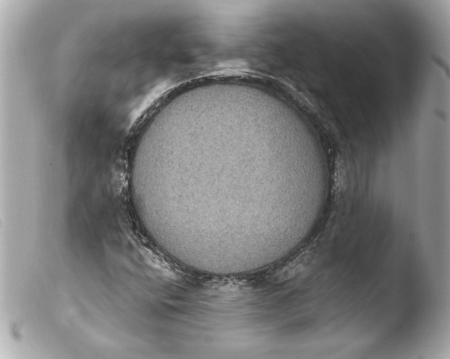 X0000103951400200810031335