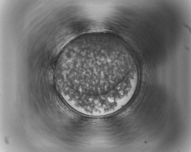 X0000103951401200810031335