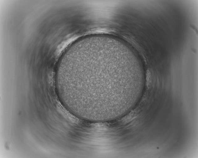 X0000103951404200810031335